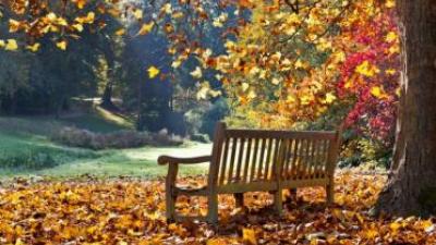 El otoño, una estación perfecta para disfrutar de los Balnearios