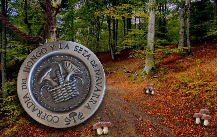 Hongos Elgorriaga Hongos Elgorriaga