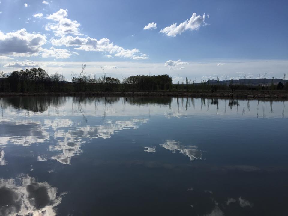 Parque Termal - Paracuellos de Jiloca