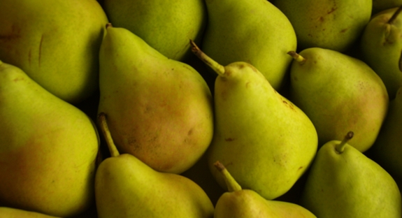 Pera Blanquilla jiloca