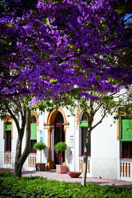El Raposo Balnearios de España jardin