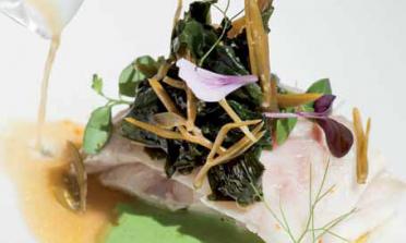 balneario font santa lubina balneario font santa lubina