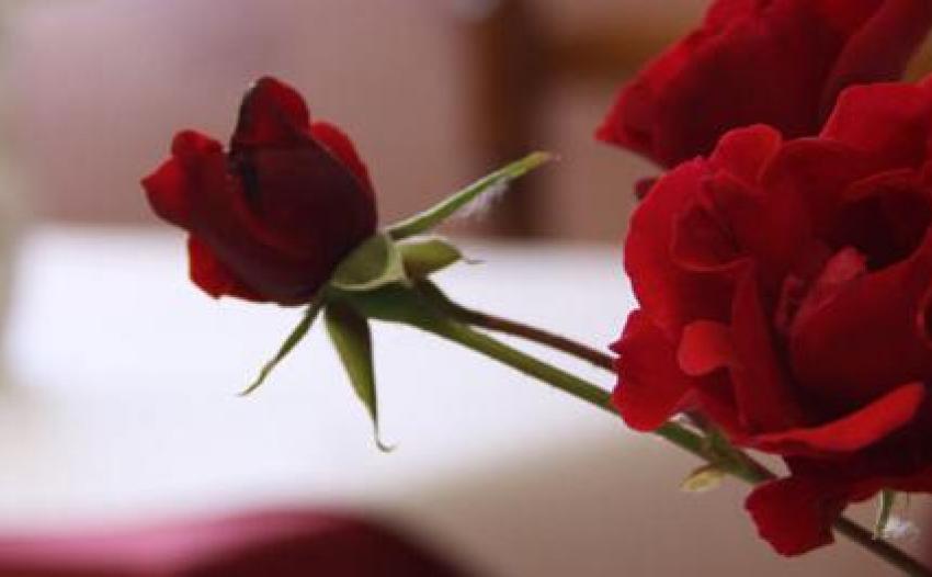 flor