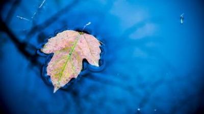 En este puente de octubre, relájate en un Balneario 