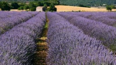 El Balneario el Raposo visita Biofach